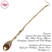 DAL01 – Dalnaaz Hair Tikka (Gold Champagne)
